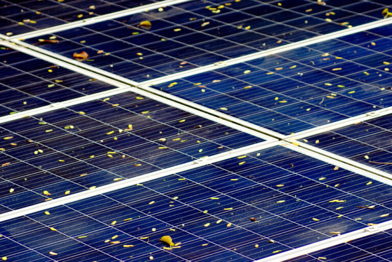 Le foglie sui pannelli possono causare un fenomeno di hotspot fotovoltaico, che danneggerà l'impianto.